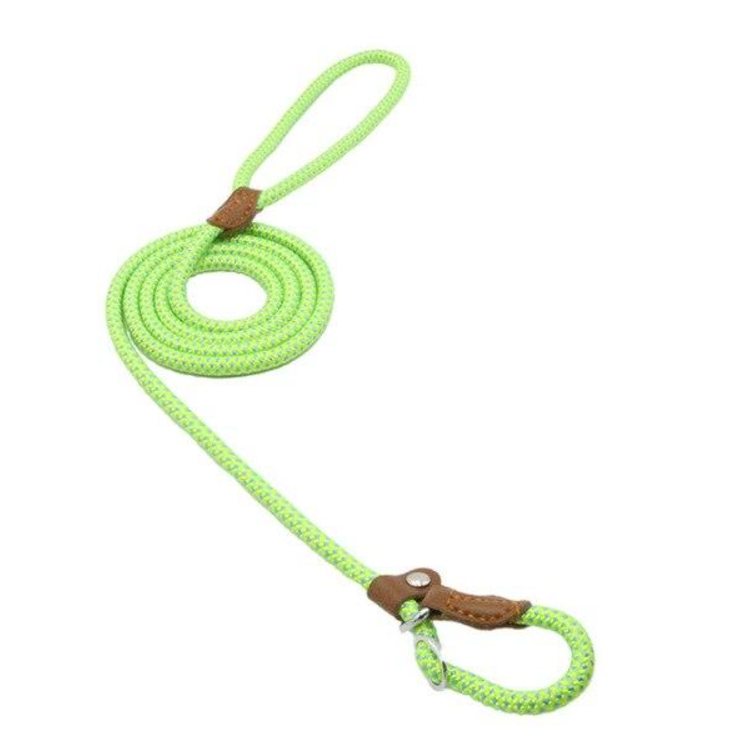 Everyday Dog Collar & Leash Set