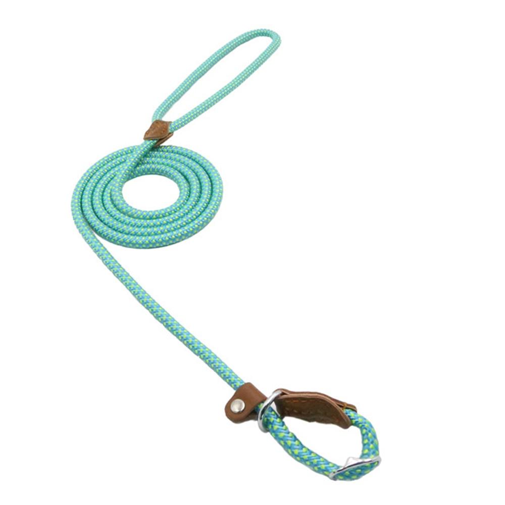 Everyday Dog Collar & Leash Set
