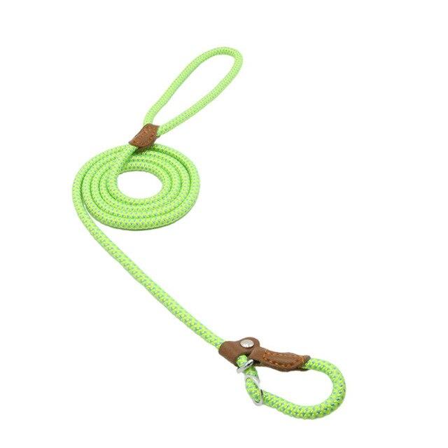 Everyday Dog Collar & Leash Set