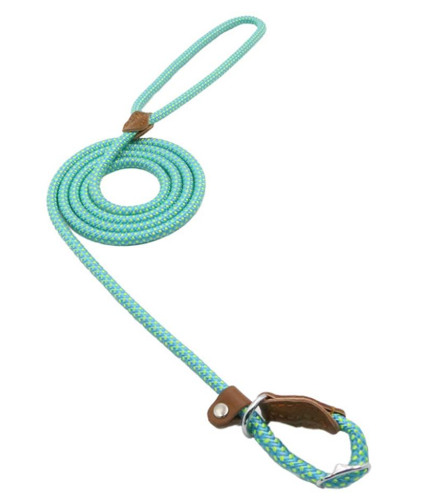 Everyday Dog Collar & Leash Set