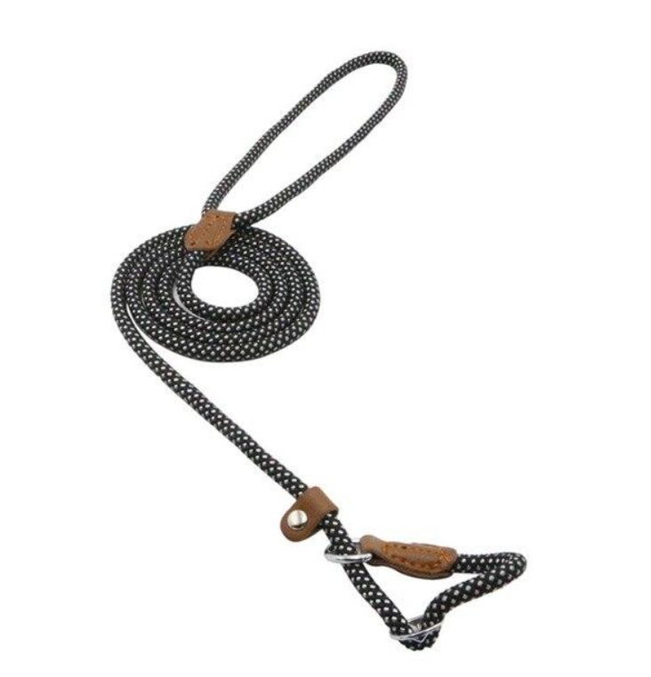 Everyday Dog Collar & Leash Set