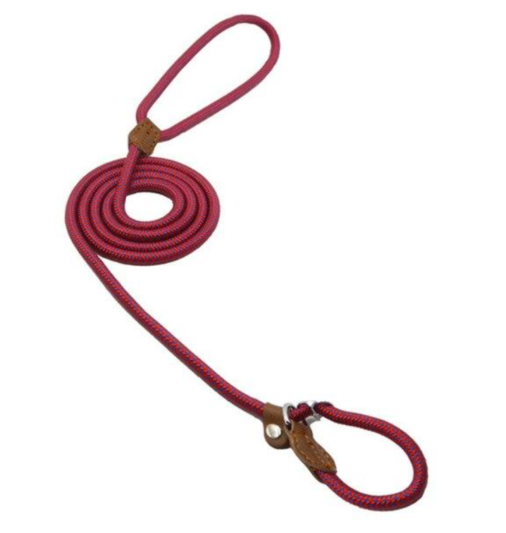 Everyday Dog Collar & Leash Set