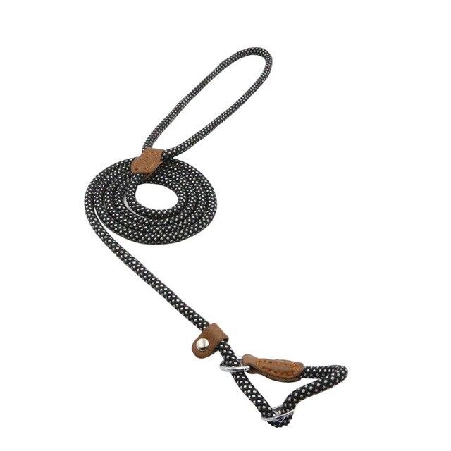 Everyday Dog Collar & Leash Set