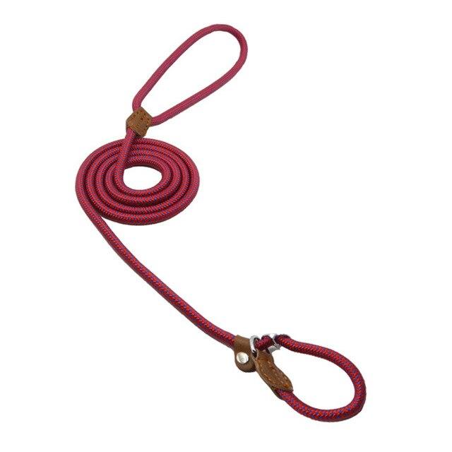 Everyday Dog Collar & Leash Set