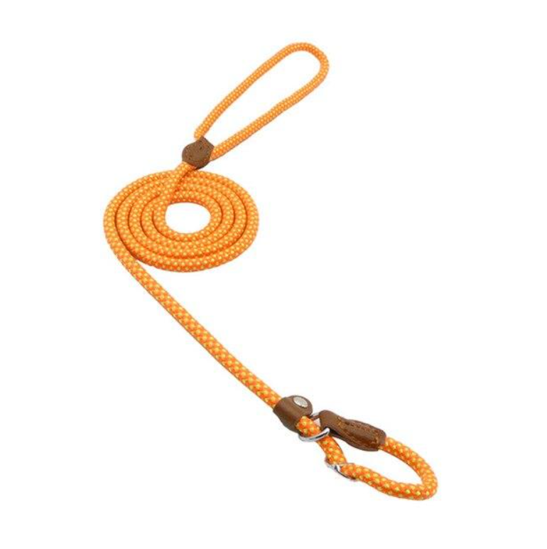 Everyday Dog Collar & Leash Set
