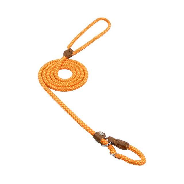 Everyday Dog Collar & Leash Set