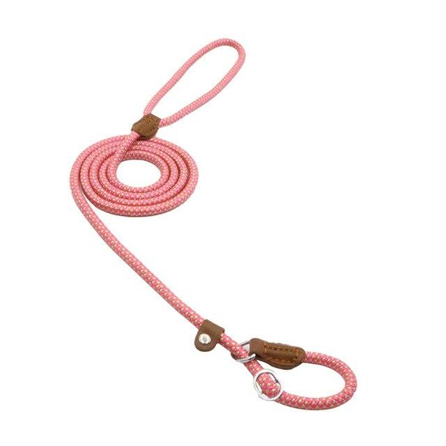 Everyday Dog Collar & Leash Set